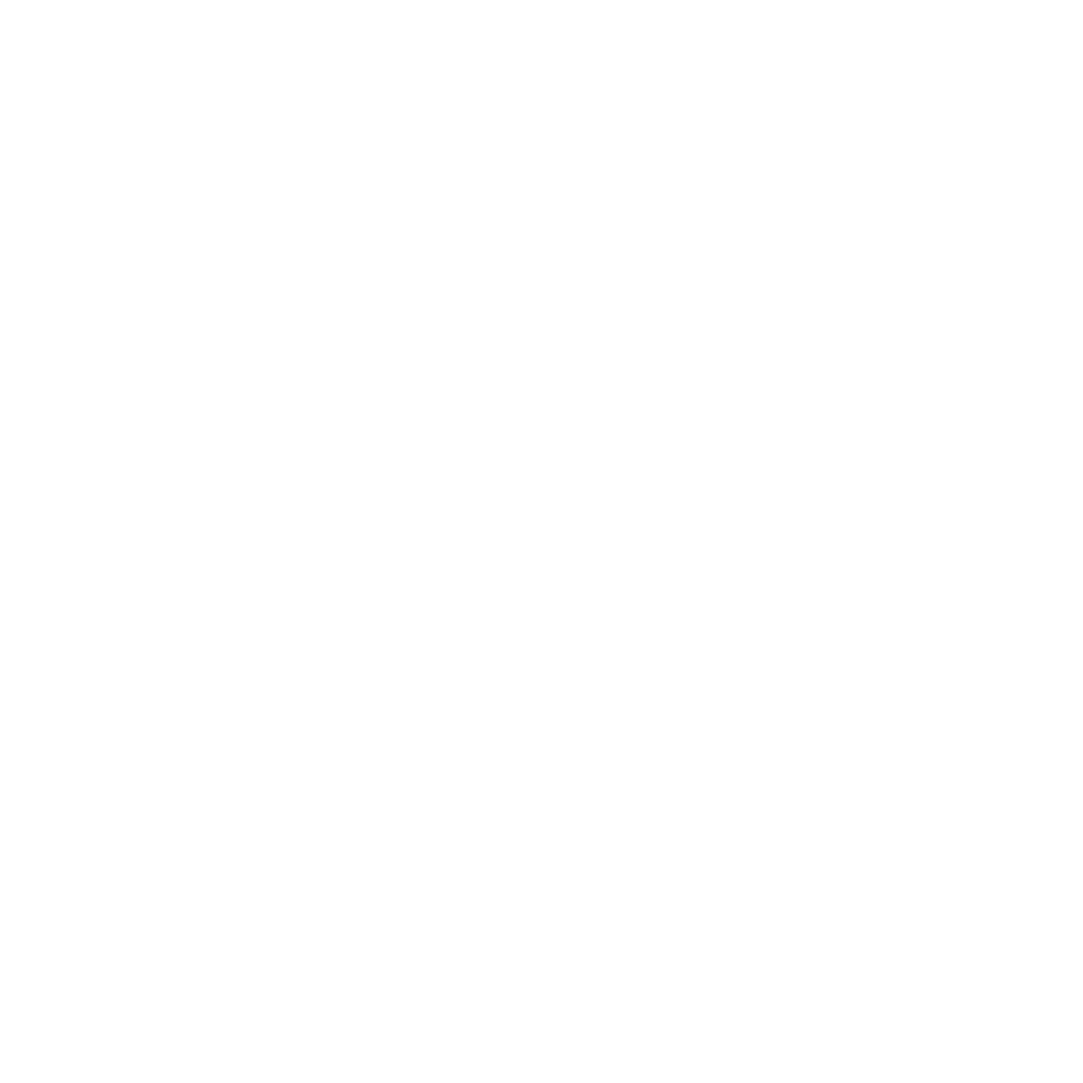 tcim initiatives white transparent